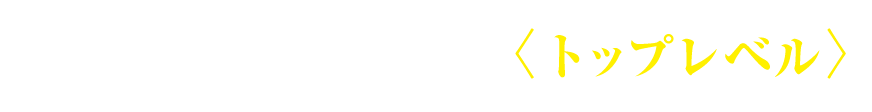 最難関大学を目指すトップレベル